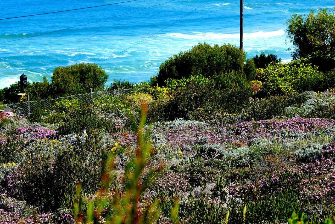 Eden Guesthouse B&B Dana Bay Esterno foto